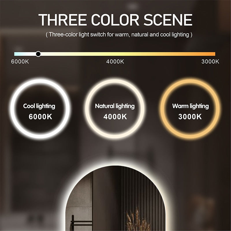 Illuminated Oval Backlit LED Bathroom Mirror, Anti-Fog
